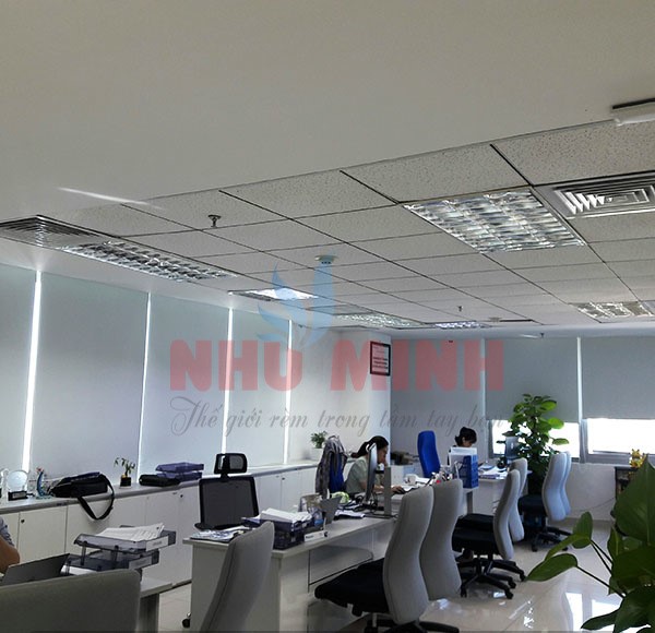 Công trình lắp rèm cuốn cản sáng 100% tại văn phòng Daikin chi nhánh Đà Nẵng