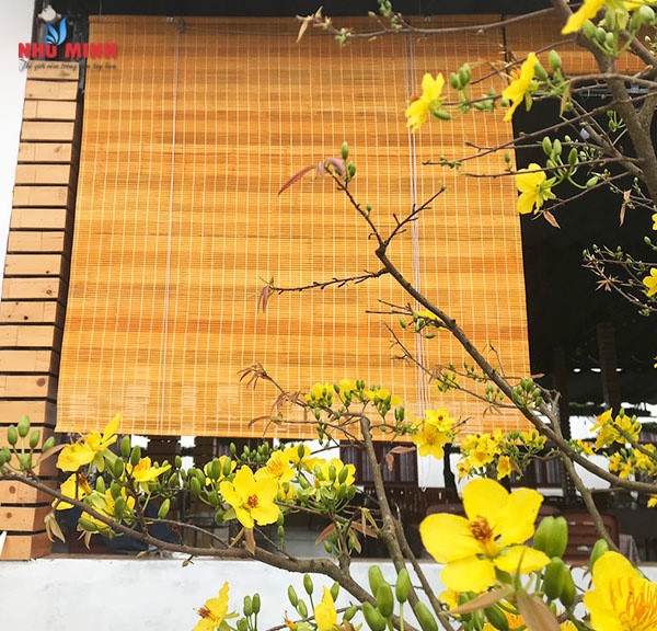 Rèm trúc vàng che nắng cao cấp Đà Nẵng - Mẫu rèm trúc nan to 1cm Như Minh