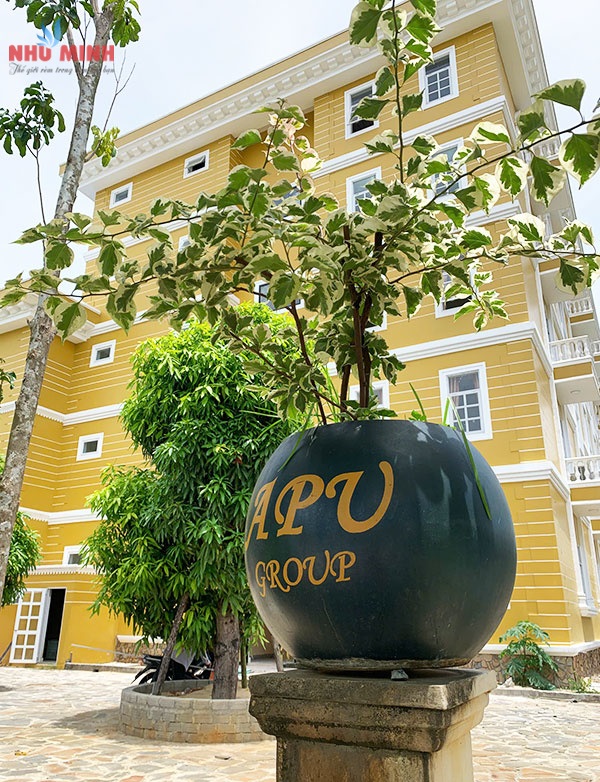 Như Minh thi công rèm vải tại Trường Quốc Tế Hoa Kỳ APU (APU American International School)